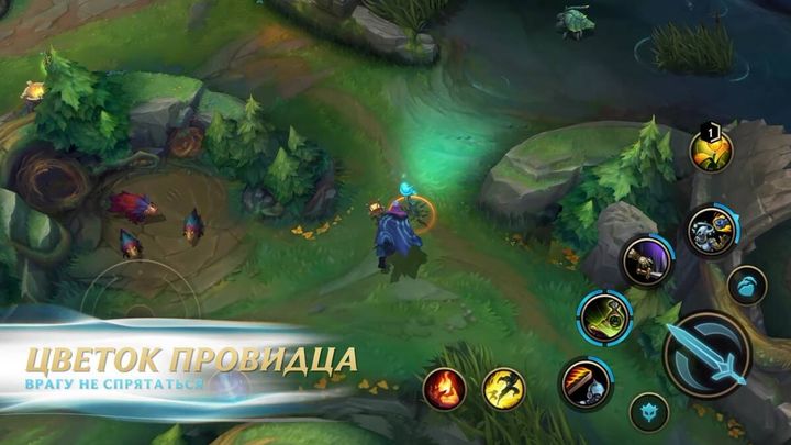 Цветок провидца League of Legends: Wild Rift