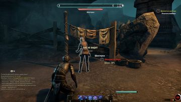 The Elder Scrolls Online: Скриншот 8